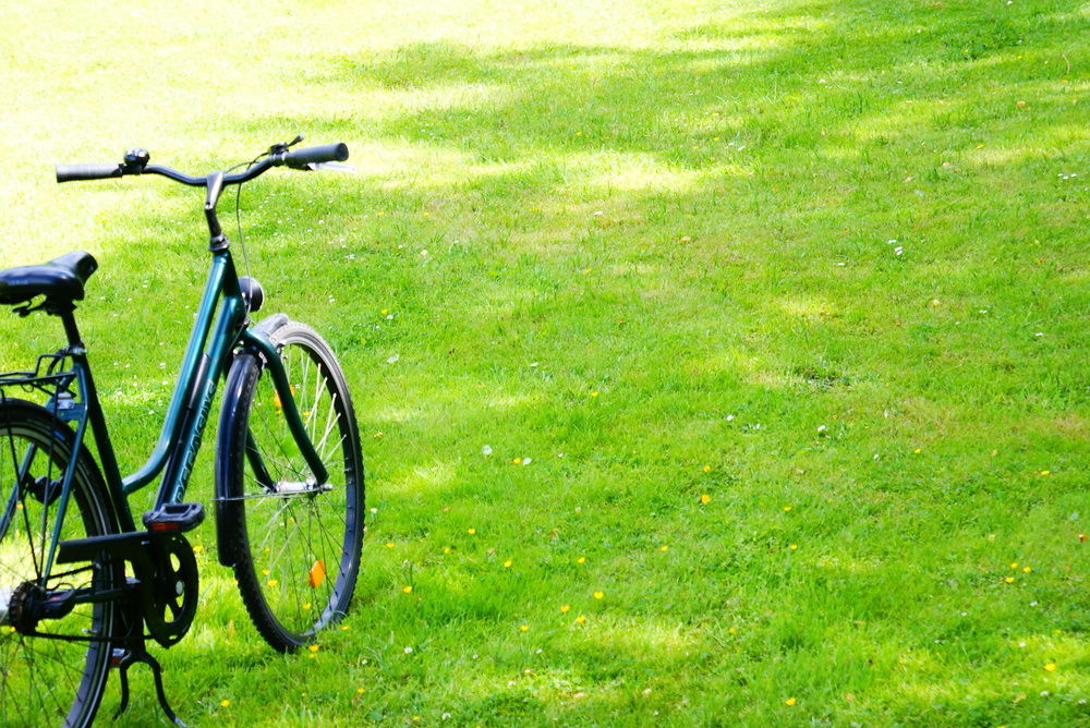 Comfort Hotel Bernau Bernau bei Berlin Exteriör bild